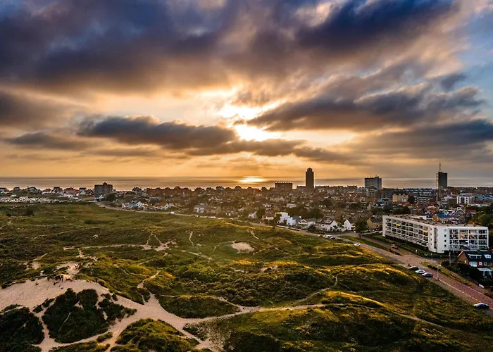 Flamingo * Zandvoort