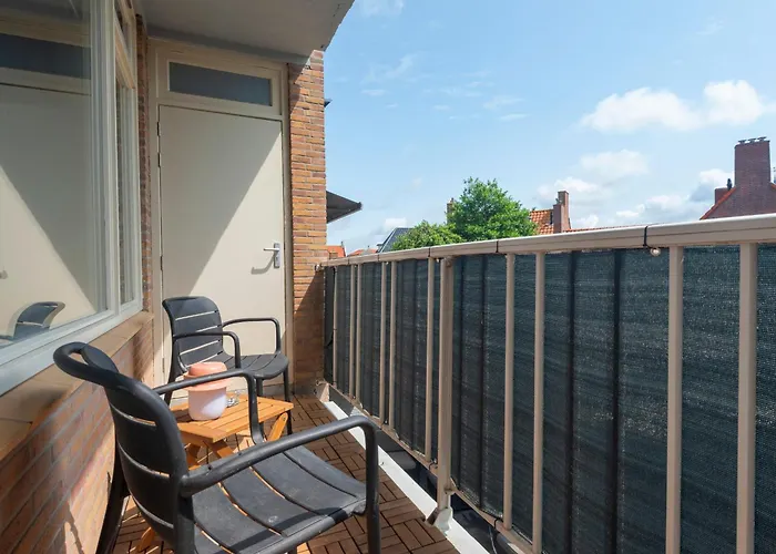 Flamingo * Zandvoort