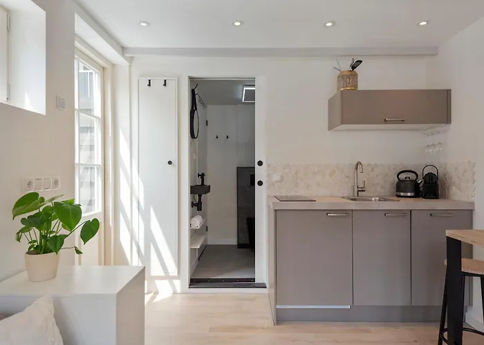 Flamingo * Zandvoort