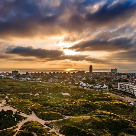Flamingo * Zandvoort
