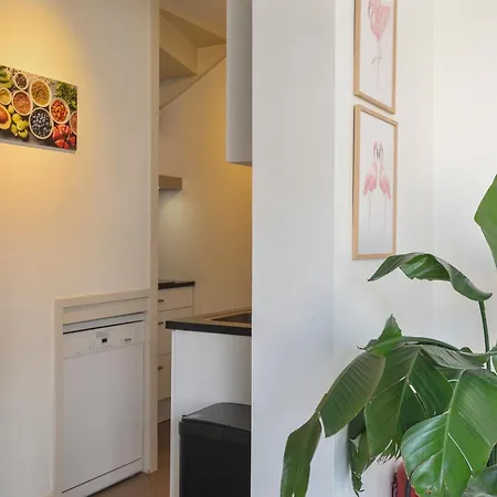 Flamingo 赞德沃特