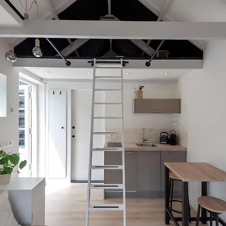 Flamingo * זנדוורט