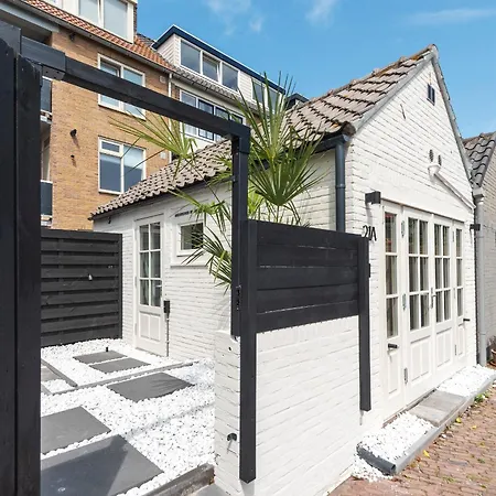 Flamingo * 赞德沃特