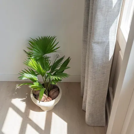 公寓 Flamingo 赞德沃特