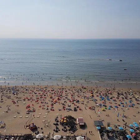 Flamingo Zandvoort