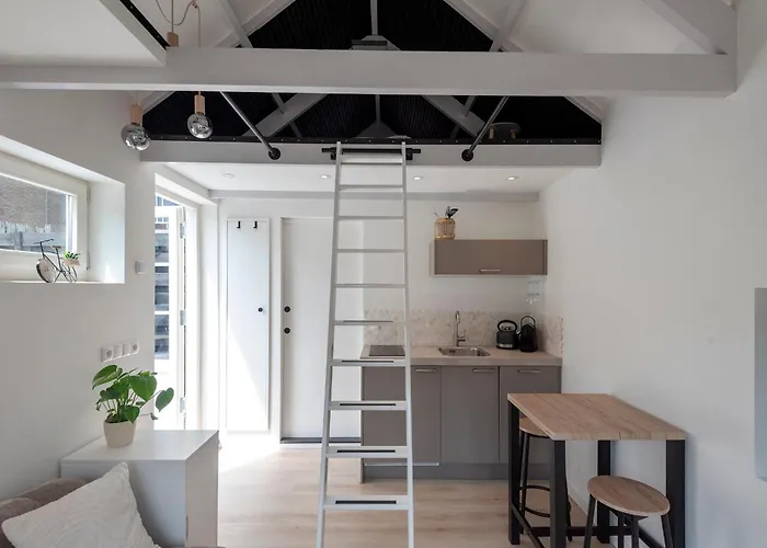 Flamingo * Zandvoort