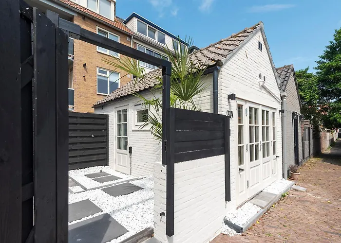 Flamingo * Zandvoort