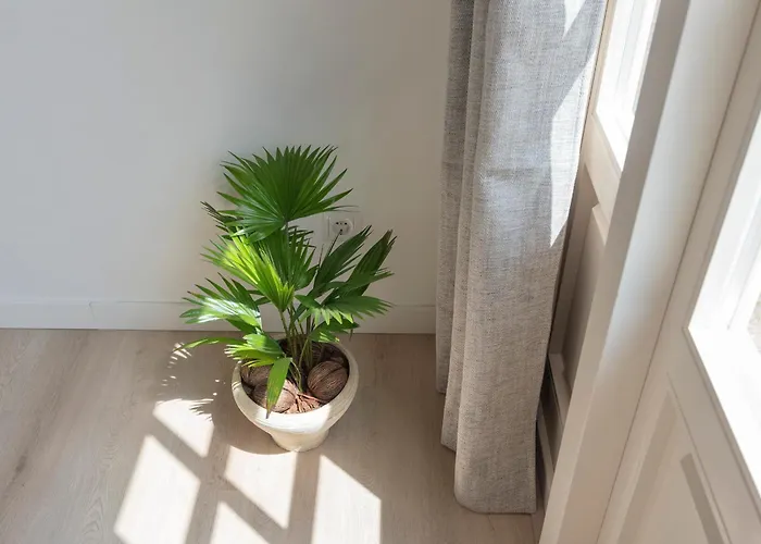 Apartamento Flamingo Zandvoort