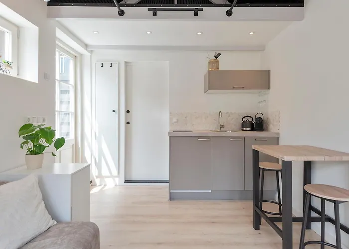 Flamingo * Zandvoort